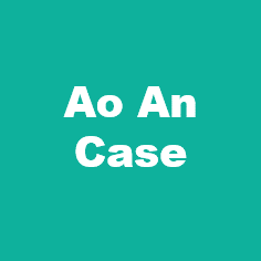 Ao An Case